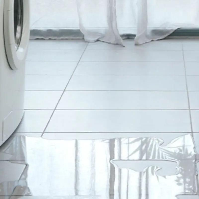 Appliance Leak Cleanup in Clackamas, OR
